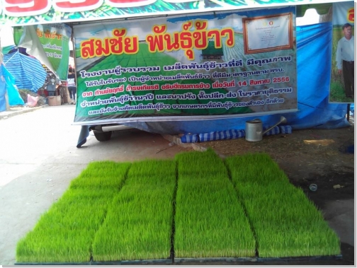 ภาพกิจกรรม 4