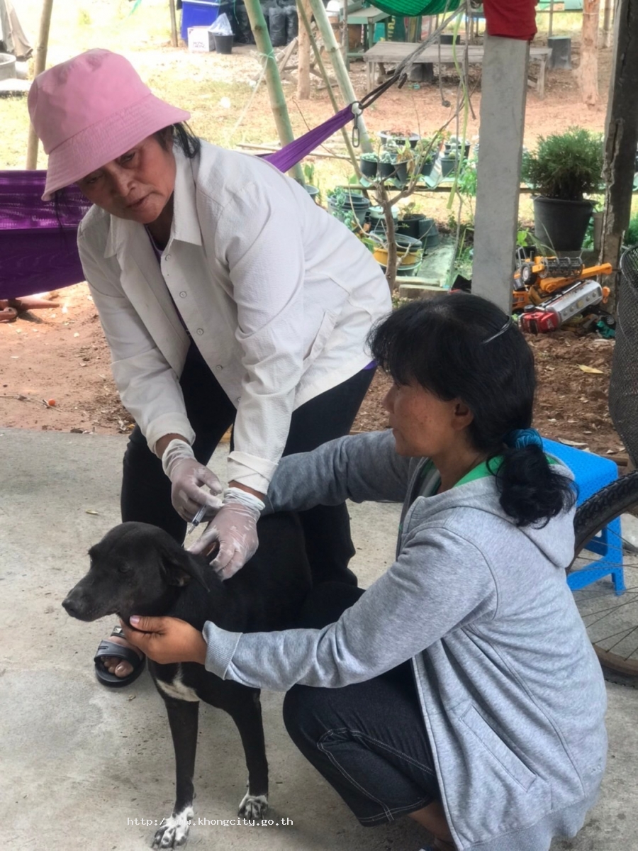 ภาพกิจกรรม 3