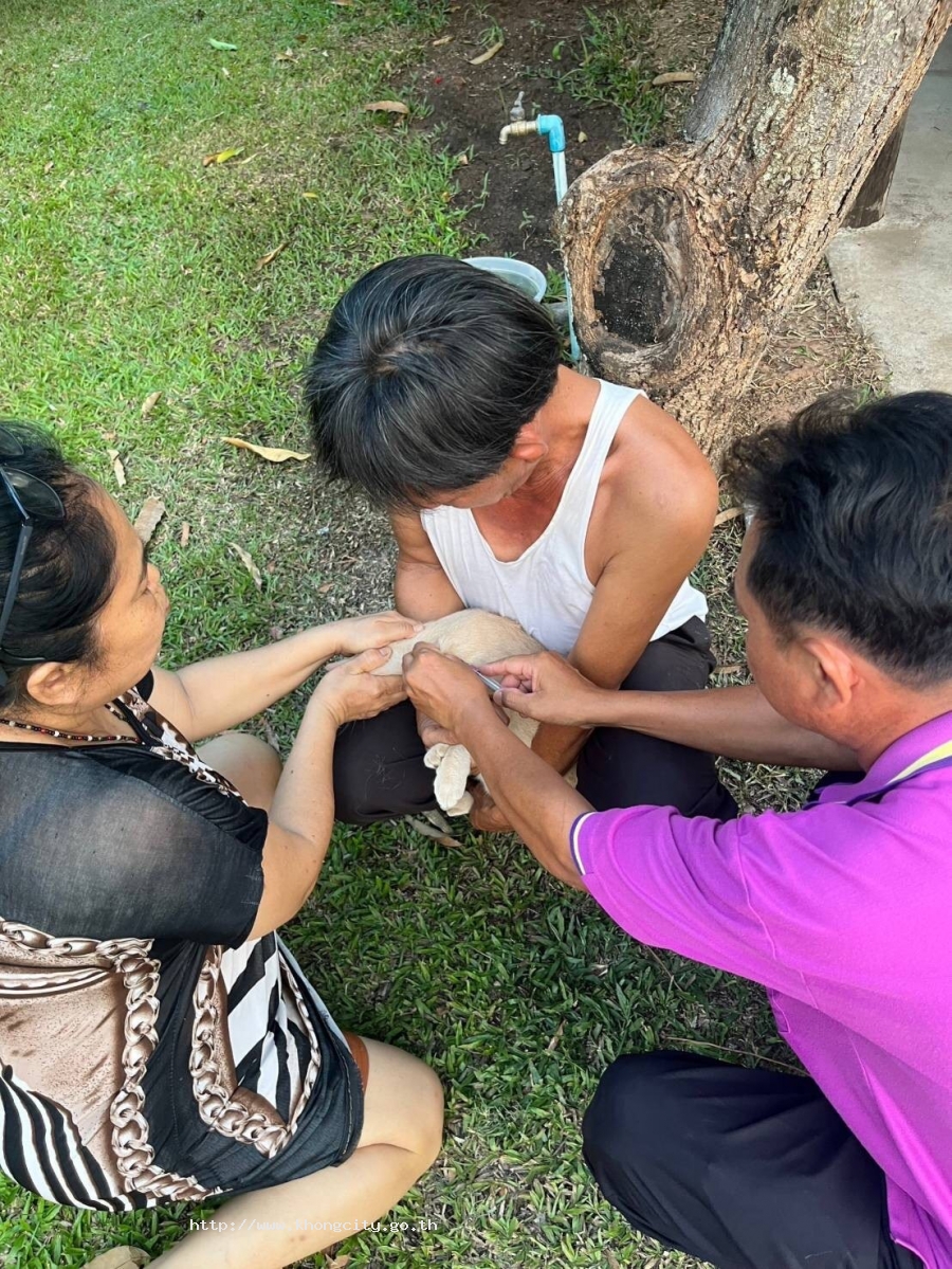 ภาพกิจกรรม 4