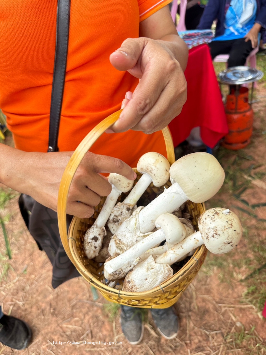 ภาพกิจกรรม 5