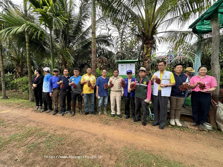 ภาพกิจกรรม 2