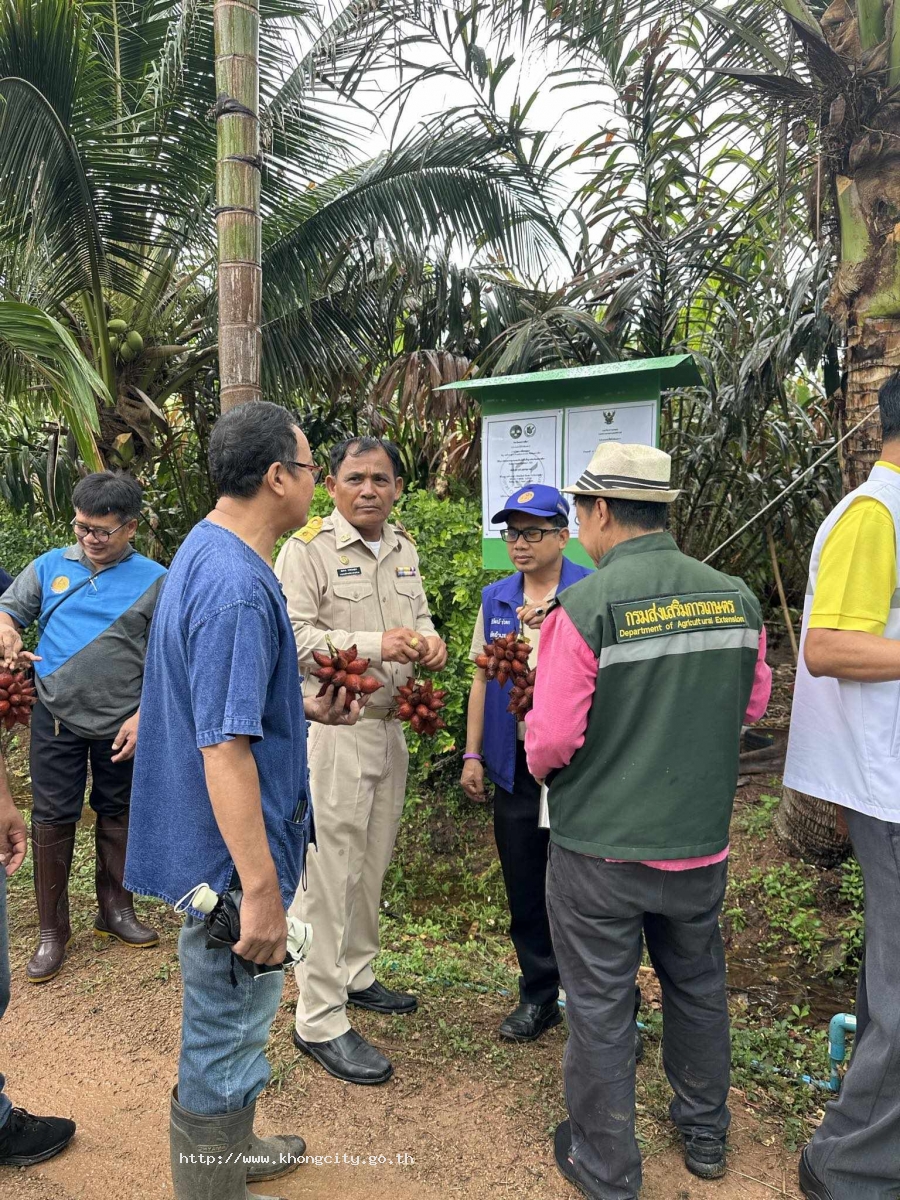 ภาพกิจกรรม 3