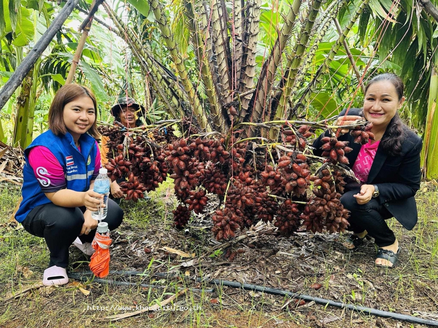 ภาพกิจกรรม 4