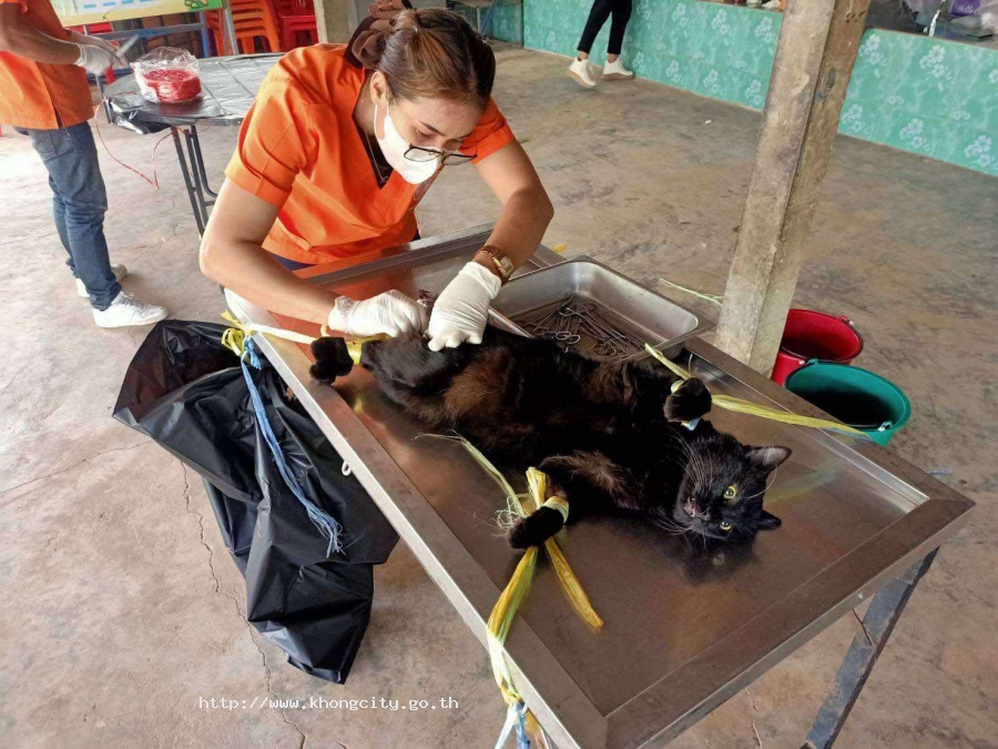 ภาพกิจกรรม 3