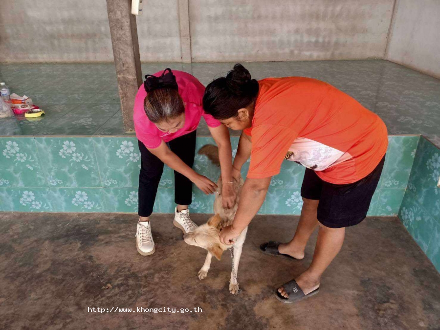 ภาพกิจกรรม 4