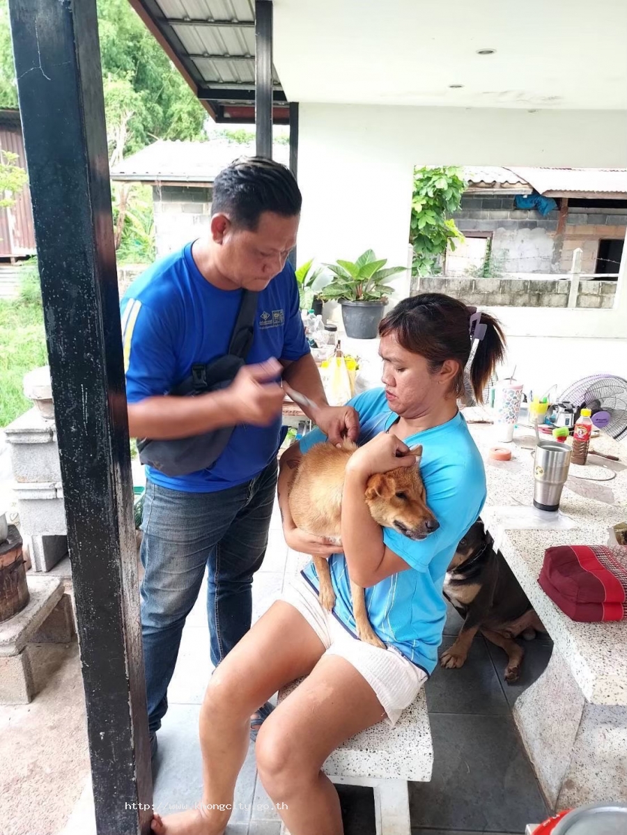 องค์การบริหารส่วนตำบลเมืองคง