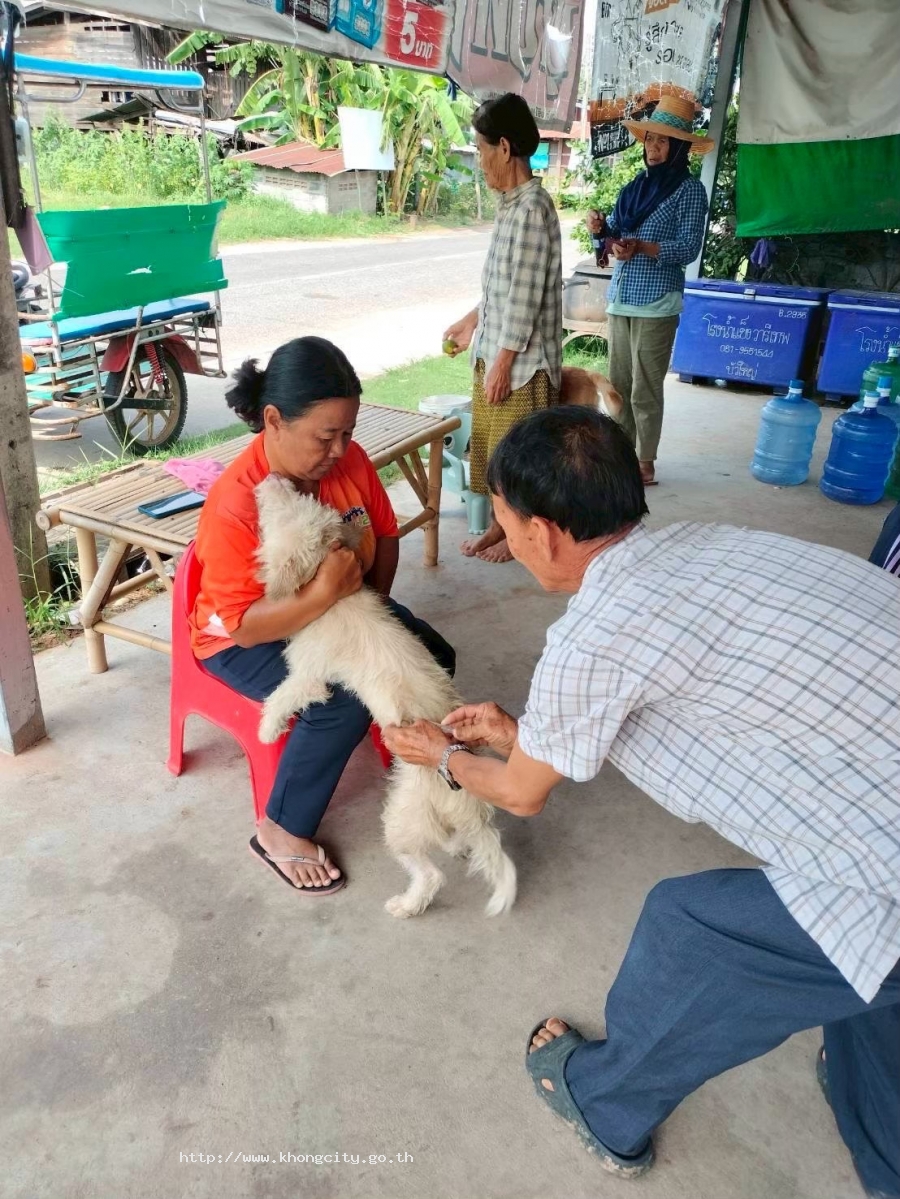 ภาพกิจกรรม 3